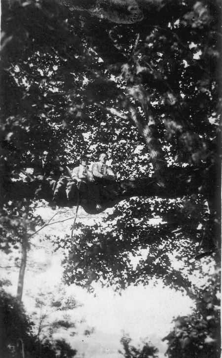Mächtige Dinglinde im Jahr 1922, Fotoarchiv: Egon Gross